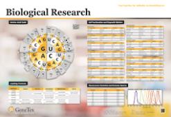 Biological-Research